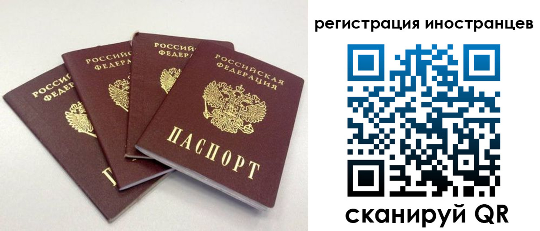 временная регистрация для школы в Белёве
